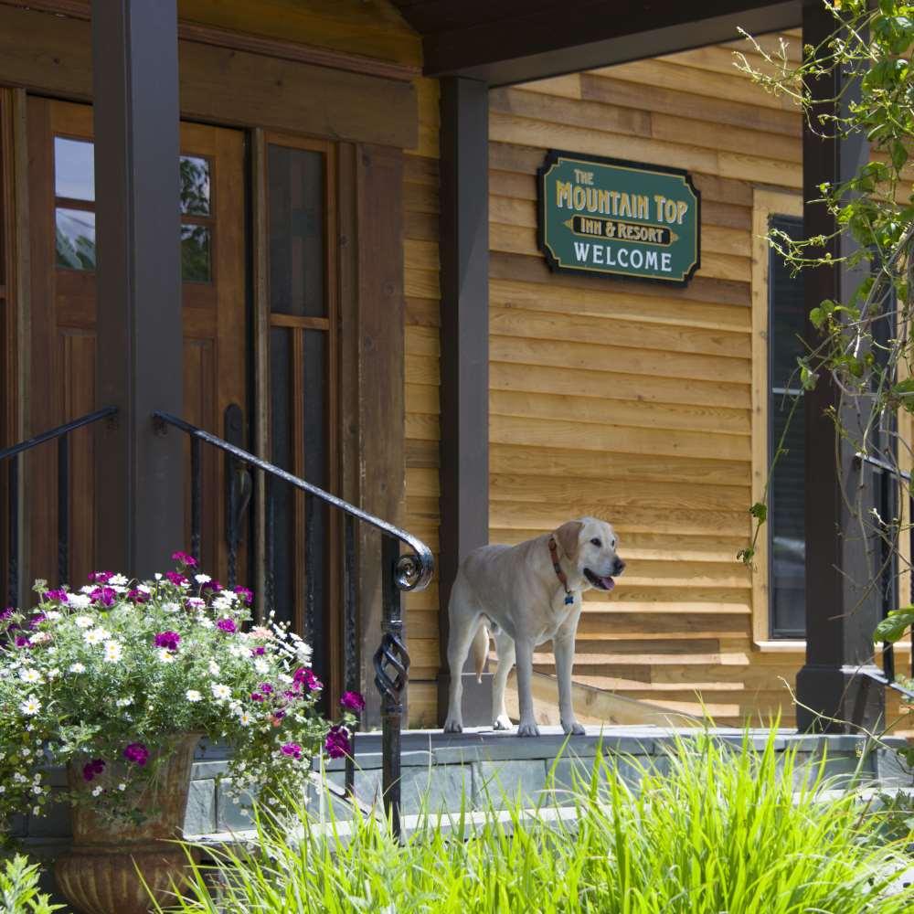 The Mountain Top Inn & Resort Chittenden Amenities photo